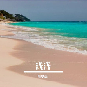 浅浅