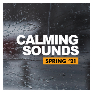 Rainbands (Original Mix)