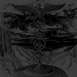 Ananke
