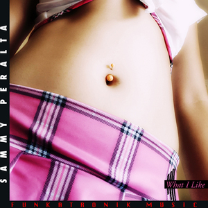 What I Like (Sammy's Old School Mix)