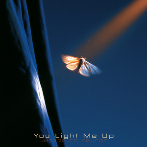 You Light Me Up (feat. Neuron)