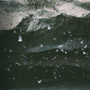 Sirikkadhey-love theme