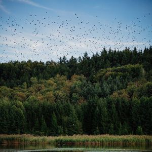 荣光华北（领唱版）