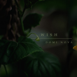Wish
