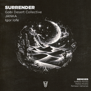 Surrender (Matteo Rivetto Remix)