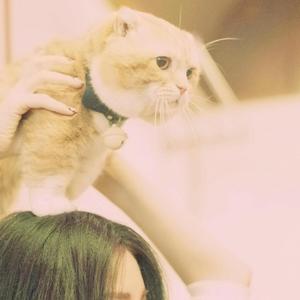 你从不知道我的心