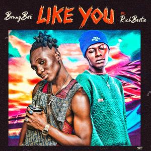 Like You (feat. Rich Bestie)