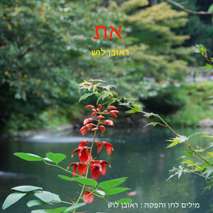 את