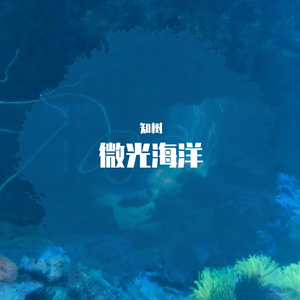 微光海洋（翻自 周深）