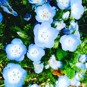 辛いことも次の幸せに