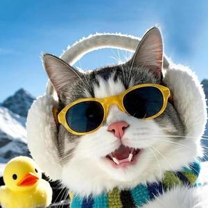 Vật Chất Thay Đổi Vạn Vật Lên Ngôi