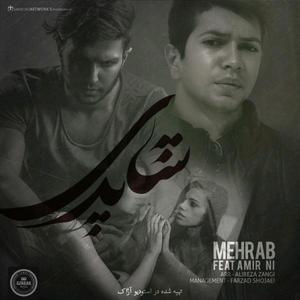 Shapari (feat. Amir Ni)