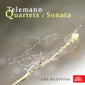 Quarte for Flute, Oboe, Bassoon and Continuo in D-Sharp Minor, .: Andante - att.