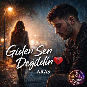 Giden Sen Değildin