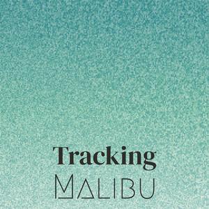 Fluorapatite Whitney