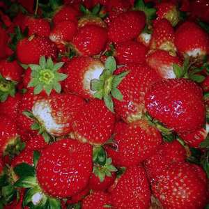 戀愛指南（prod.by lilmac）