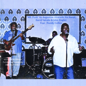 Mr. Funk (feat. Freddy Collins)