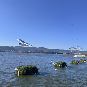 那年我没说出口 你也没为我回头