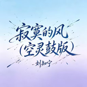 寂寞的风(空灵鼓版)