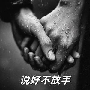 说好不放手