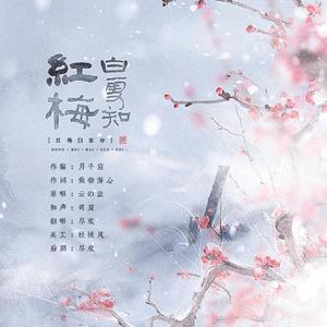 红梅白雪知