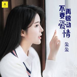 不要再惊动爱情