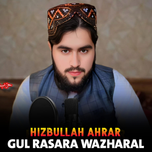 Da Zalmo Da Zulfo Wlona