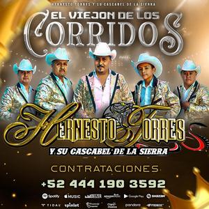 De puro gusto brindemos