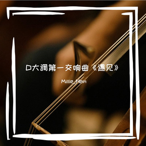 D大调第一交响曲《遇见》第三乐章 谐谑曲-失控