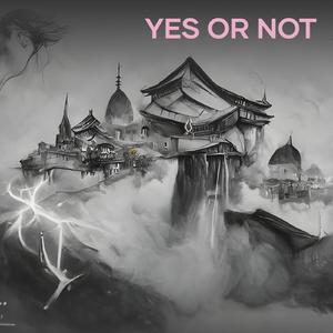 YES OR NOT