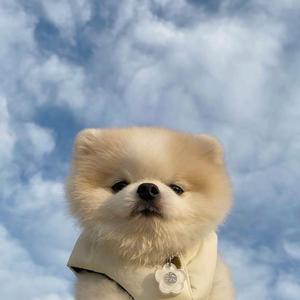 后来