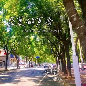 盛夏的声音 (伴奏)