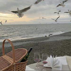 给我一瓶过期的安眠药（0.8）