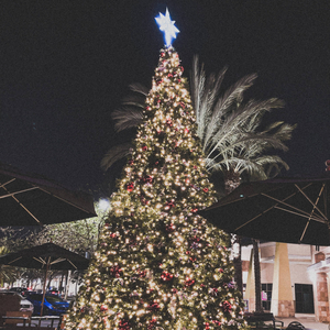 Beautiful (feat. Luveli)