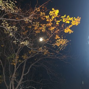 褪色盛夏