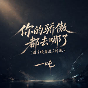 你的骄傲都去哪了(没了棱角没了骄傲)