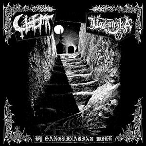 Convulsing Phantasms of Mine Lacerations