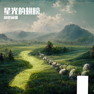 星光的翅膀