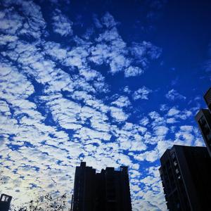 这世界那么多人