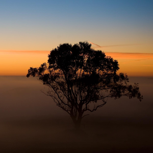 吹过街角的晚风