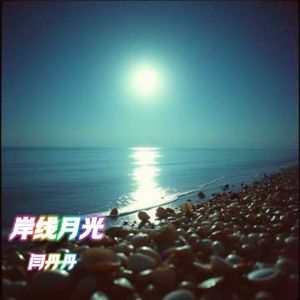 岸线月光