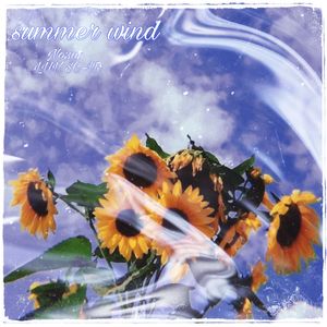 Summer wind(我怀念的remix