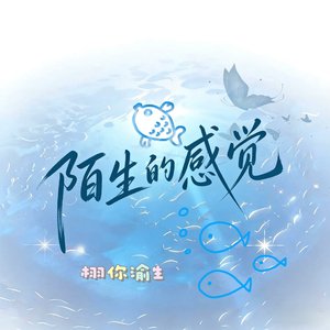 陌生的感觉（中文改编版）