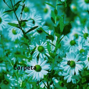Carpeta