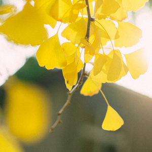 夸张（翻自 周品）