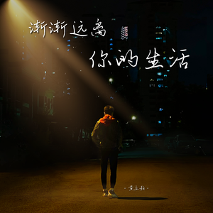 渐渐远离你的生活