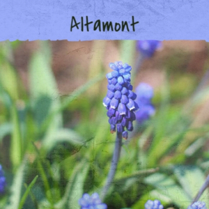 I'll Never Stand In Your Way