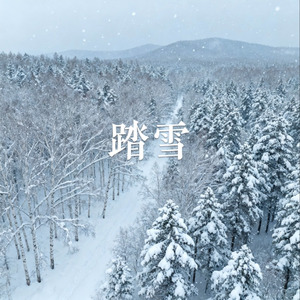 踏雪