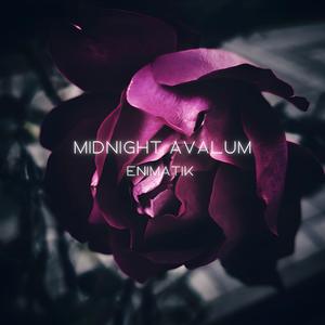 Midnight Avalum