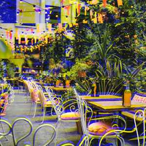 一尘不染黄金十月印象数